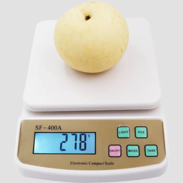 JEET INTERNATIONAL 10KG HANGING SCALE (SF 400A)